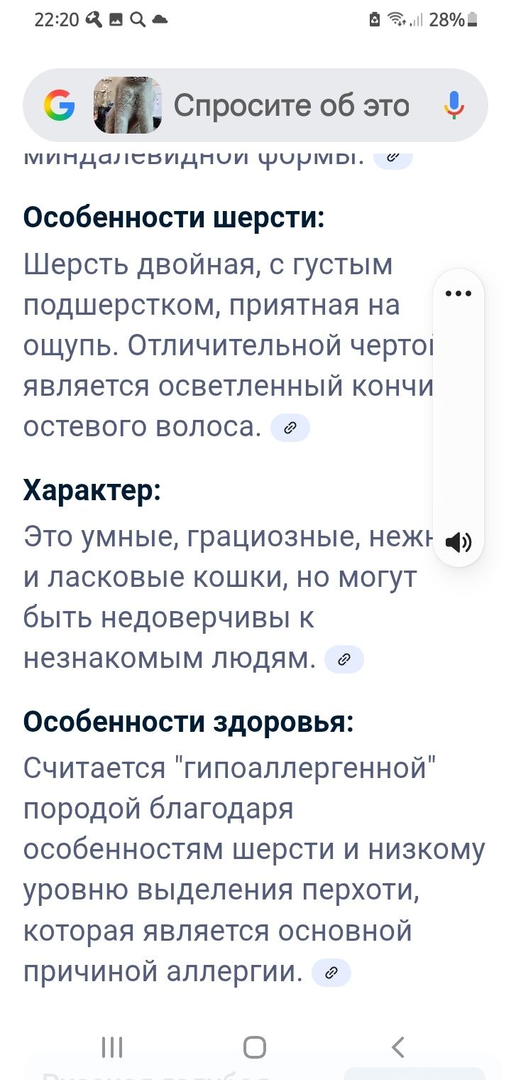 Идеальная малышка для дома . красавица. умная.. тихая и спокойная