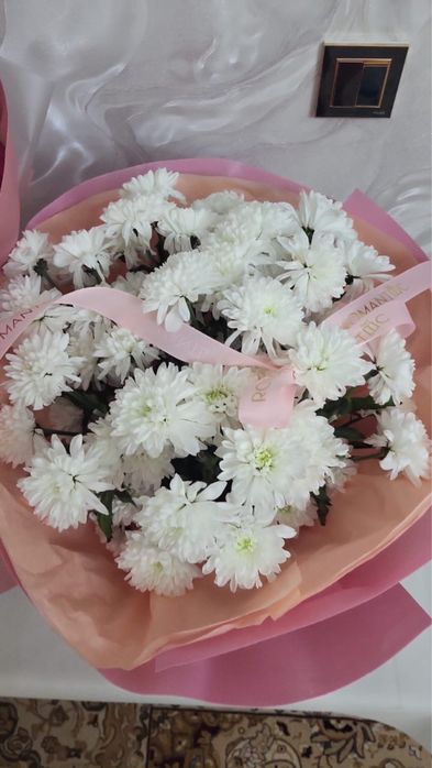 Хризантемы белые