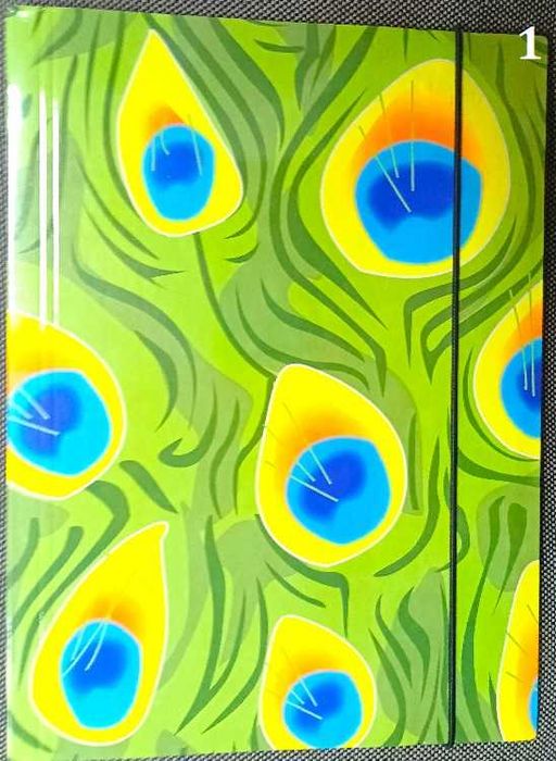 Папки с ластик, различен дизайн