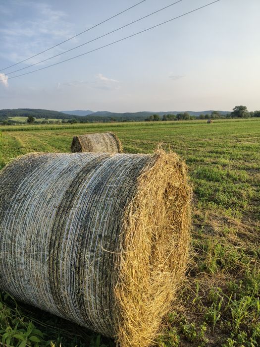 Baloți lucernă 2025