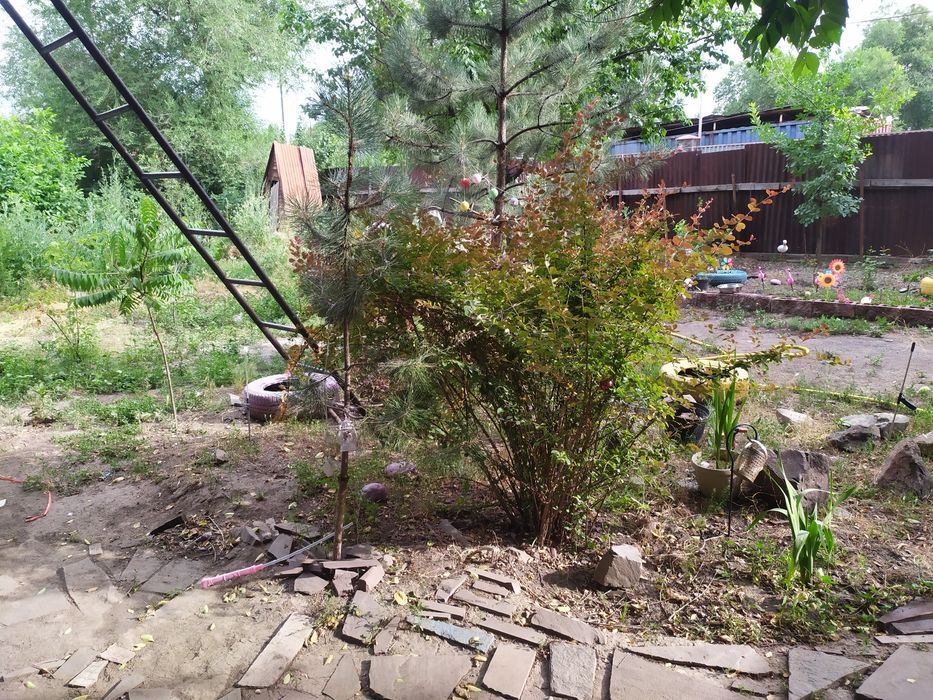 Продам дом в первомайски.