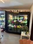 Florărie de vânzare Str. Zorilor 16 Afacere la cheie