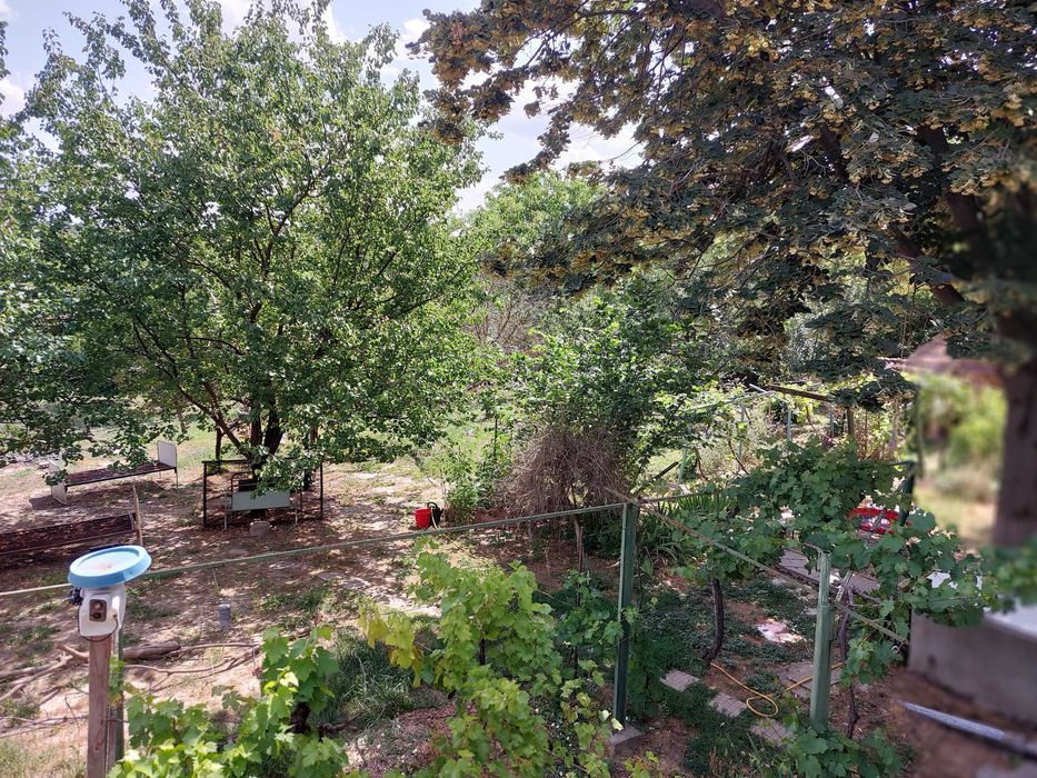 Продава се Къща в с. Масларево, Област Велико Търново - 65 кв.м за 583 €/кв.м - Снимка #7