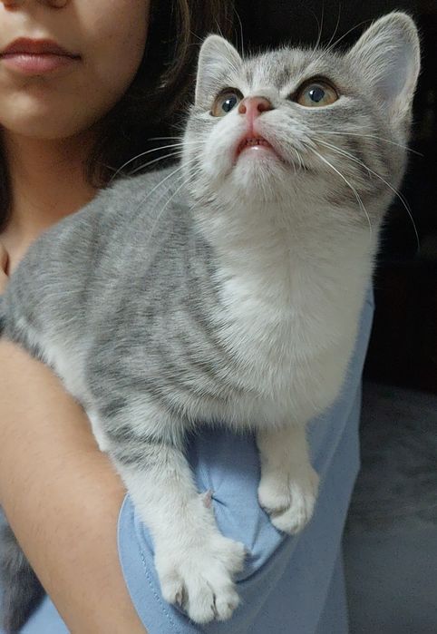 Ищем надежную люьящую семью