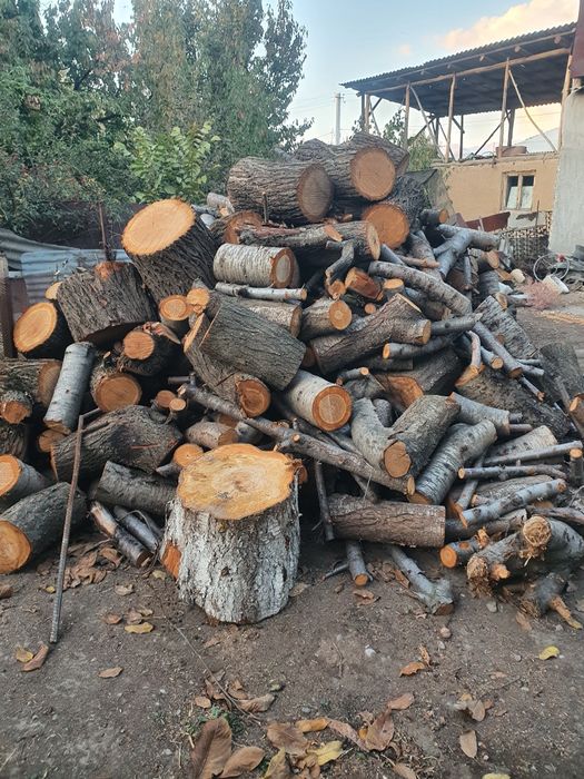 Отин сотлади яхщи отин