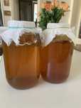 Ciuperca Scoby-ceai Kombucha