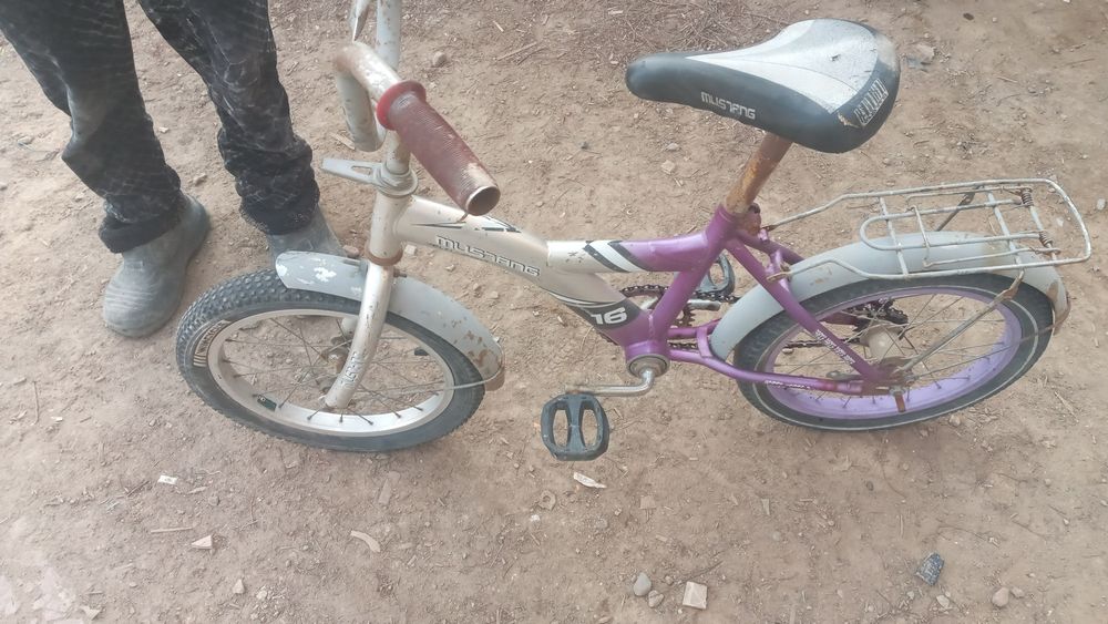 Велик на девукаи