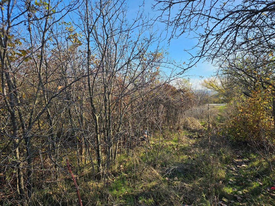 Парцел в с. Крумово