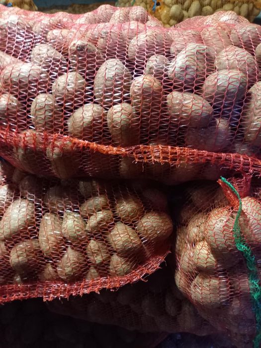 Vand cartofi consum rosu si alb