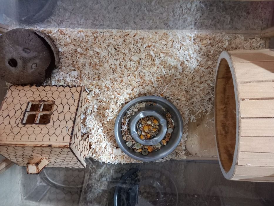 Vând cușcă hamster dimensiune mare