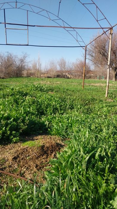 Кибрай Майскийда Уи сотилади 13+5сотих