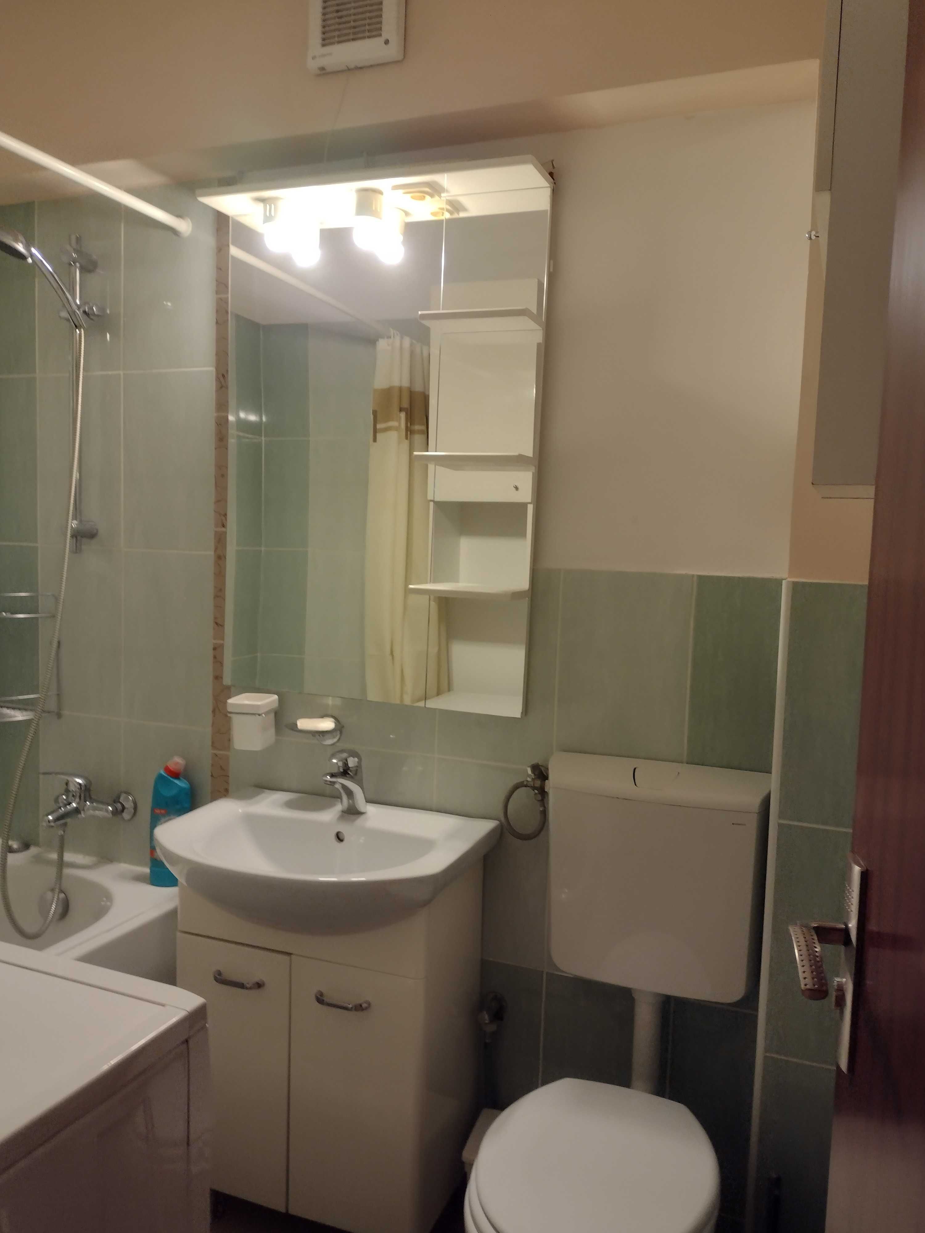 Ofer pentru inchiriere apartament cu o camera ( garsoniera)