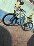 Vand bicicleta carpat