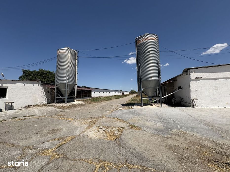 Ferma De  Pui - CEFA