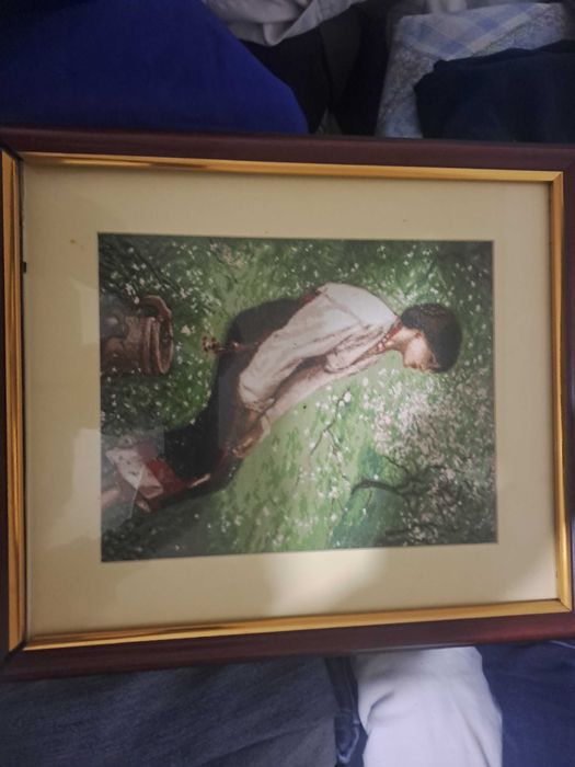 Vând goblenuri  cusute,înrămate