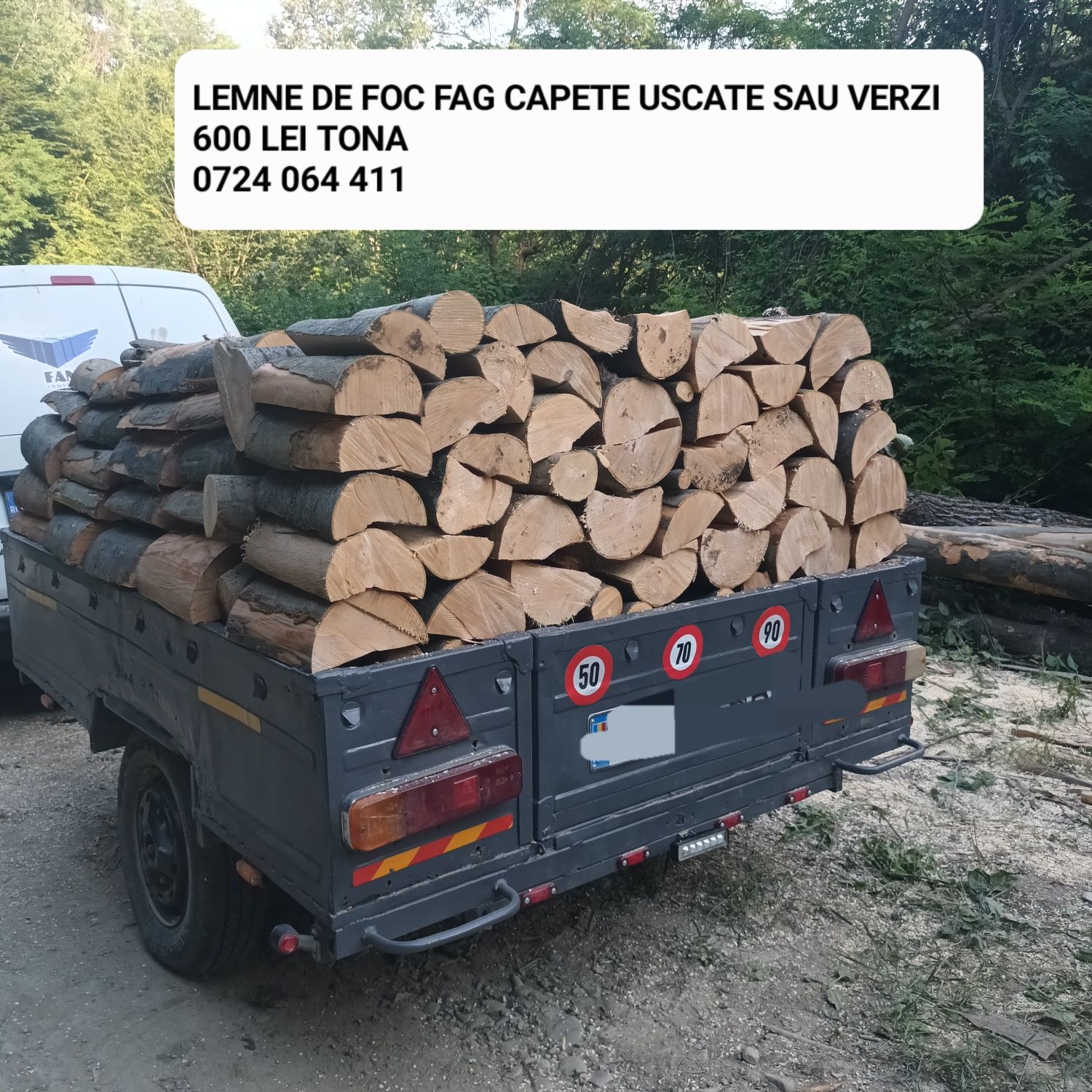 Lemn de foc esenta tare fag capete uscate sau verzi 600 lei tona