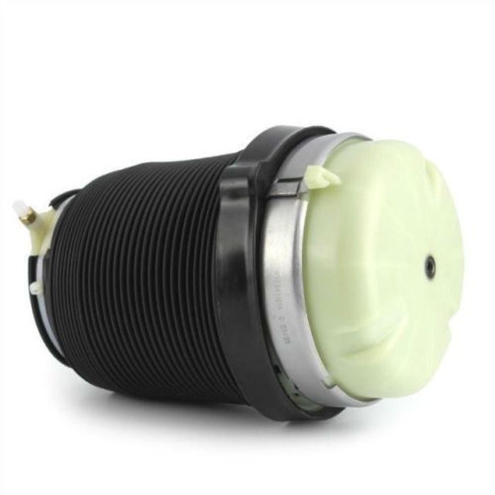 Perna de aer spate Audi A6 C6, Garantie NOU!