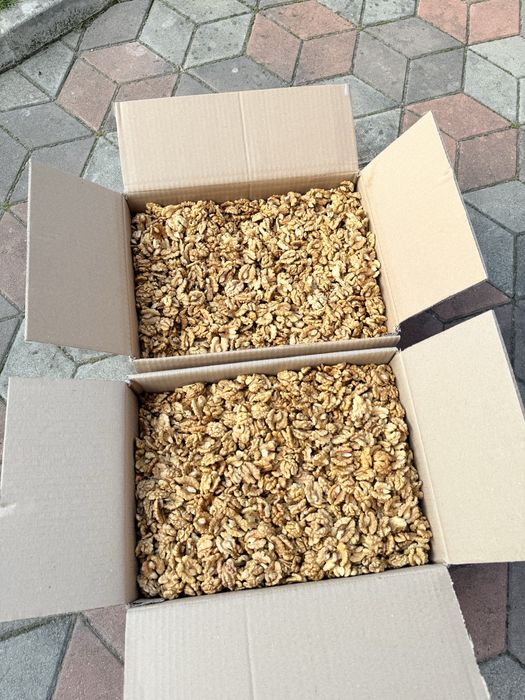 Vând jumătăți miez de nuca alb 2025!