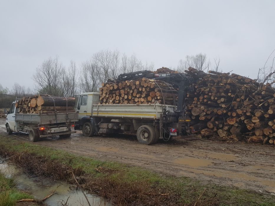 Lemn De Foc Esență Tare