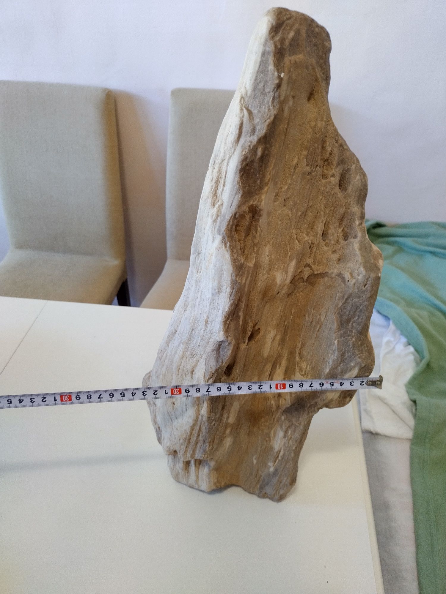 Вкаменено дърво на милиони години тежи 18 килограма за декорация