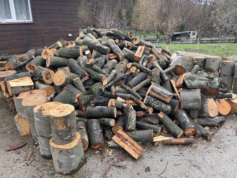 Lemne de foc de cea mai buna calitate