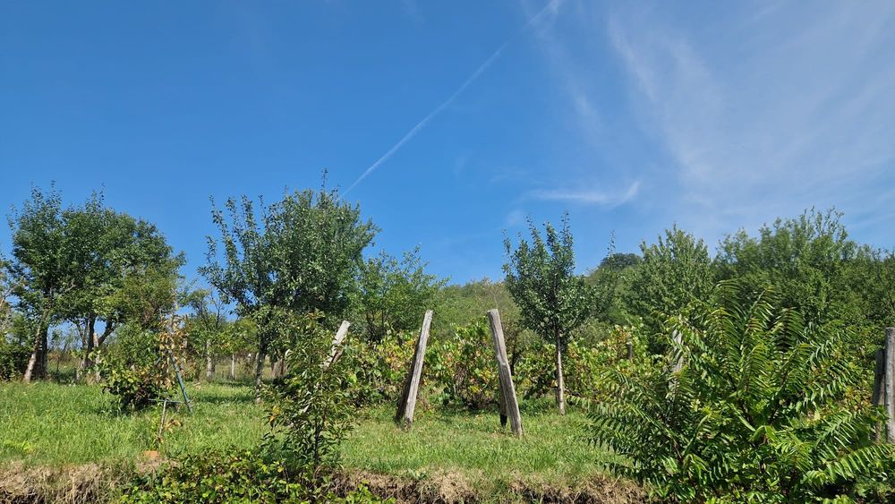 Vând teren intravilan