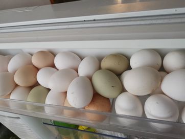 Дашни кокоши яйца размер M/ L /XL