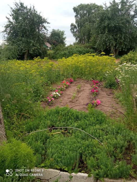 Продаем дачу, с/о Энтузиаст