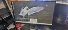 Hope Amanet P6 Monitor PC Asus 27 inchi wide
