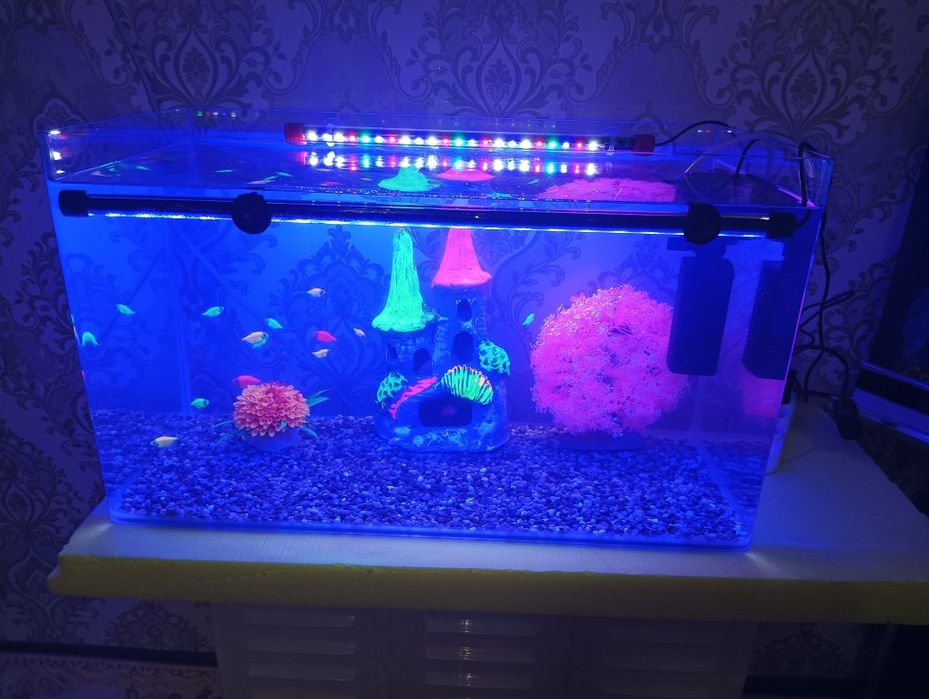 Хитой аквариум 60 литр комплект