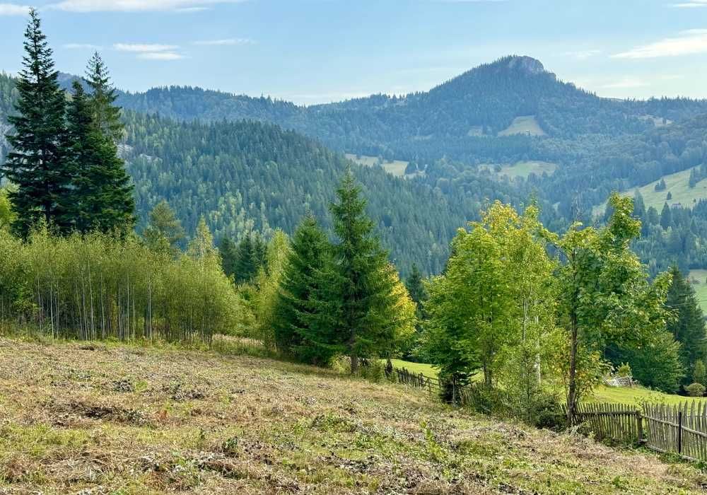 Teren la Munte, Cheile Bicazului, cu vedere panoramică