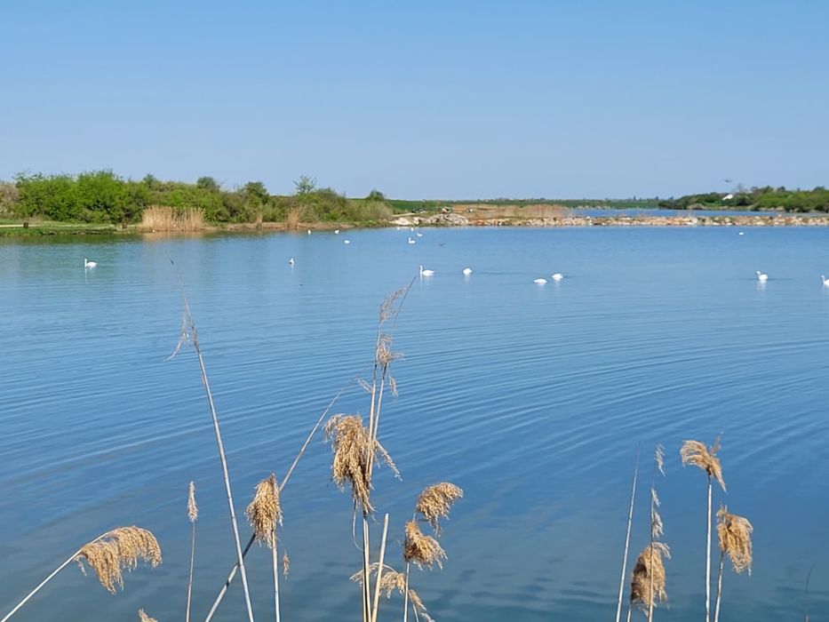 Teren intravilan situat pe malul lacului