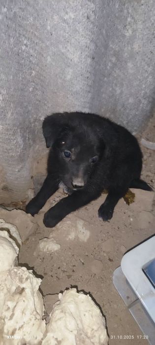 Дети ищут семьи!