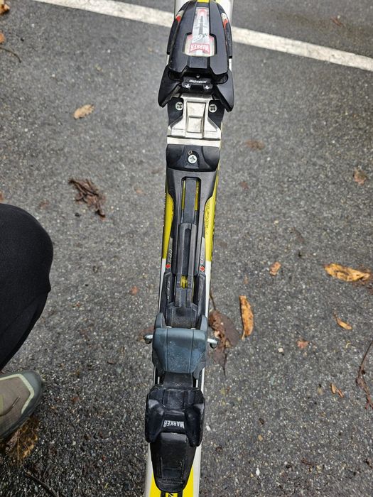 Schiuri Fischer rc4 supercarve