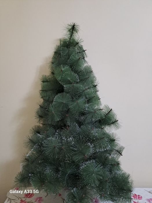 Ёлка арча сотилад