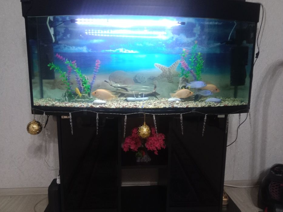 Продам аквариум  зоводской на 200литров