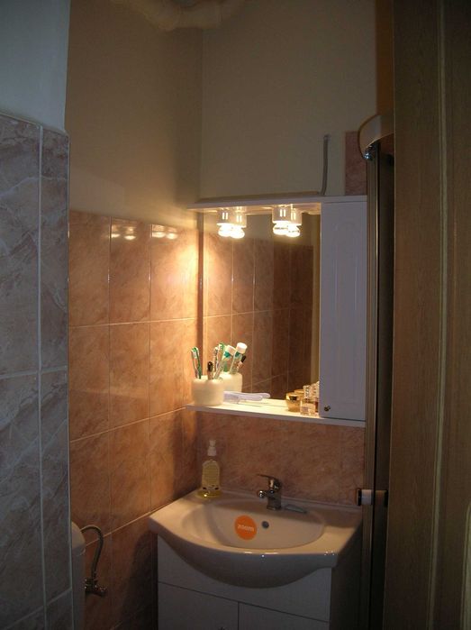 apartament 1 camera de vanzare central Podgoria