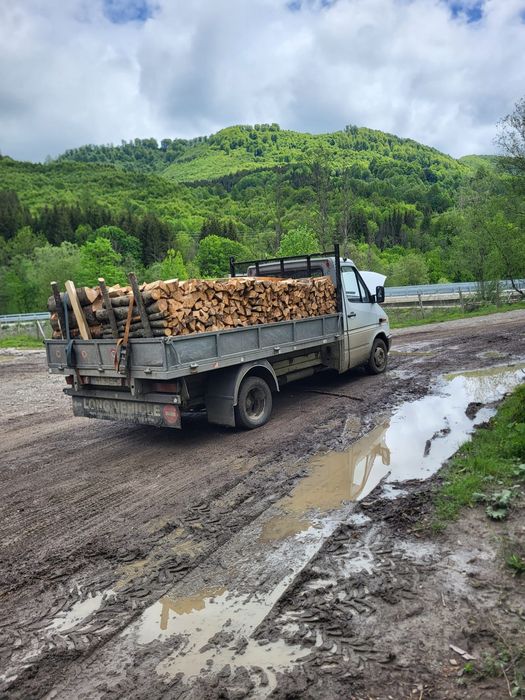 Lemne de foc fag chituci