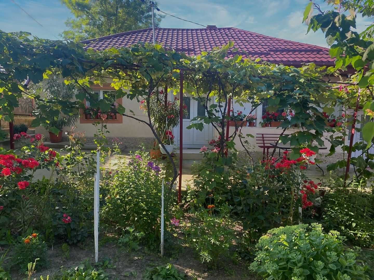 Casa de vanzare cu teren in Ruginoasa, Iasi - comision 0 la cumparare.