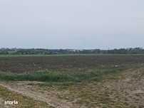 Teren de vanzare in Lazu zona Logistic Parc