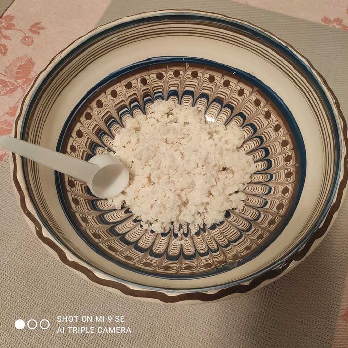 Ciupercă kefir de lapte