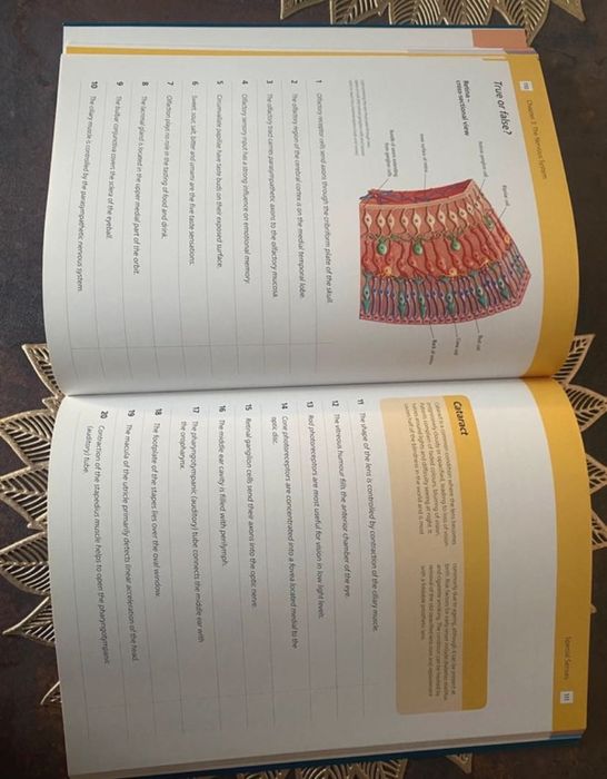 Anatomy Student’s Revision WorkbooK