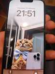 Schimb Iphone 13 Pro Max 256 GB Graphite
