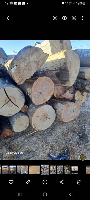 Vând lemne de foc de fag tăiate gata