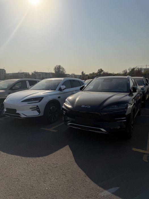 BYD champion smart drive