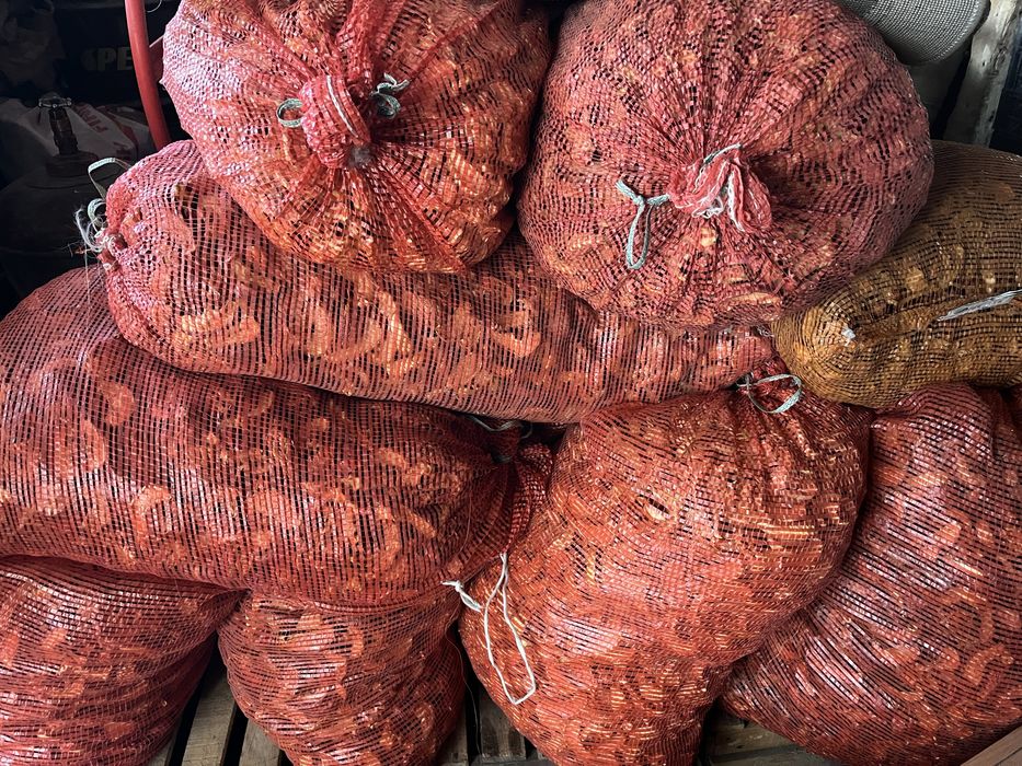 Продам сухофрукт яблок