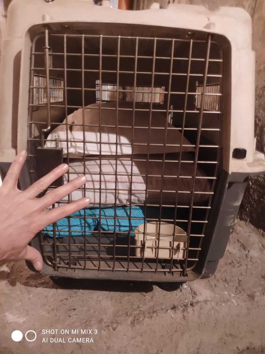 Транспортна кутия на колелца за кучета SAVIC