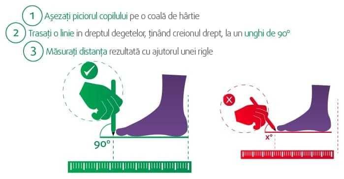 Botosei Tip Soseta * Adidasi * Incaltaminte Copii * Attipas
