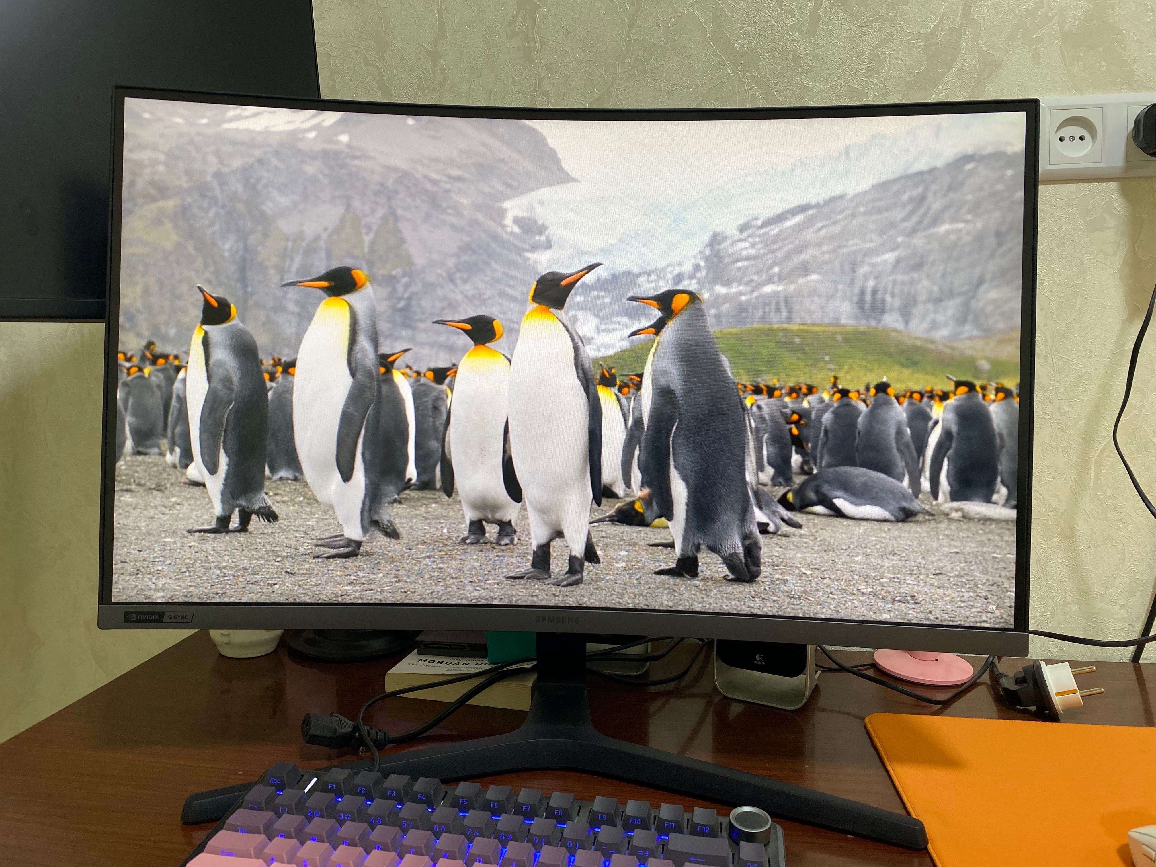 Игровой Монитор Samsung 27 VA Full HD 240Hz  Curved G-Sync