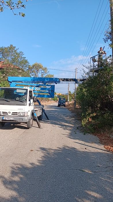 Рязане на опасни дървета